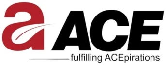 ACE Group logo